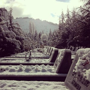 10864997_1525244631068382_1594578897_n